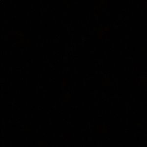 Meet your Posher, Brittney